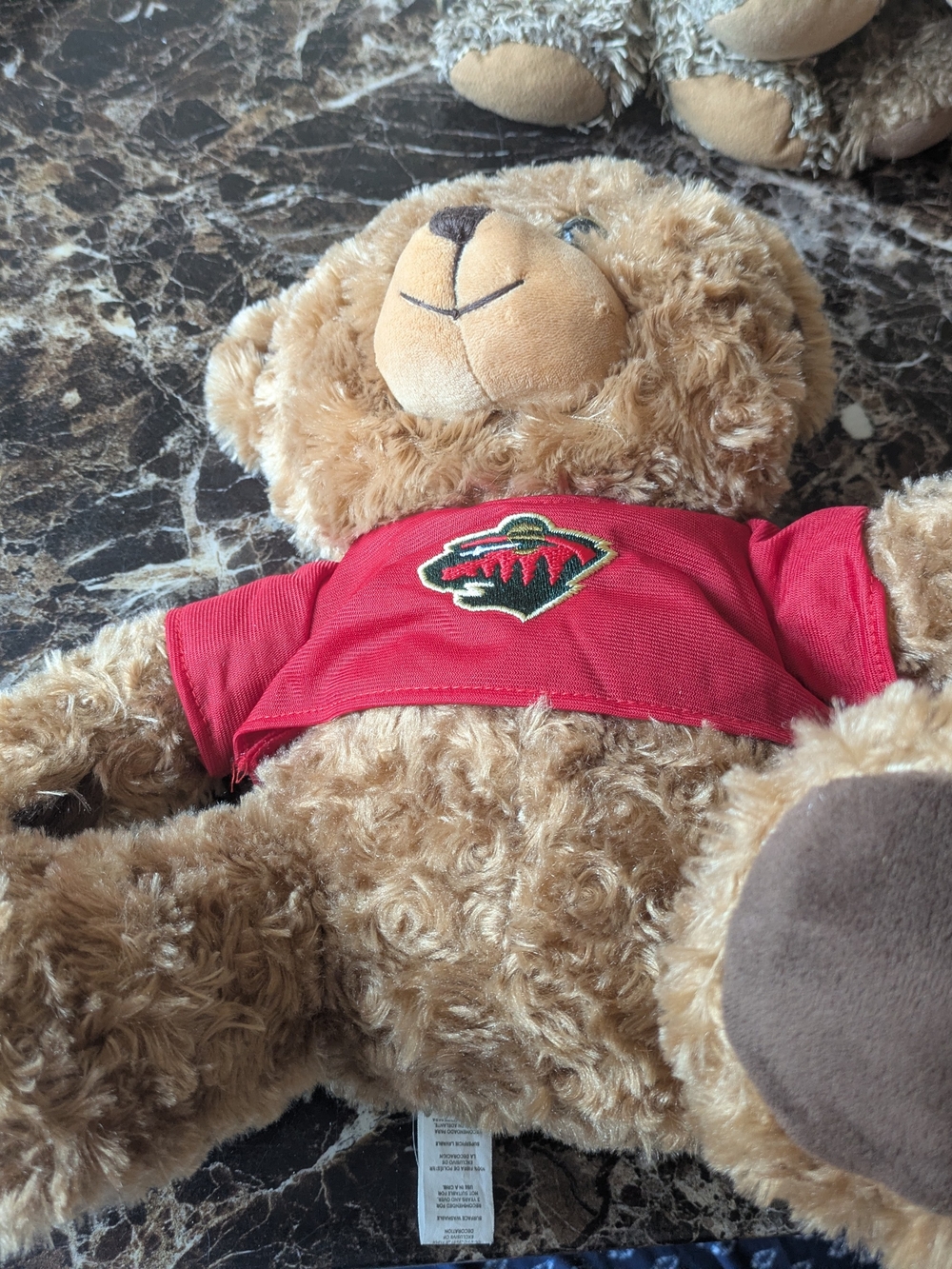 Score This Cuddly Minnesota Wild Fan! 🐻